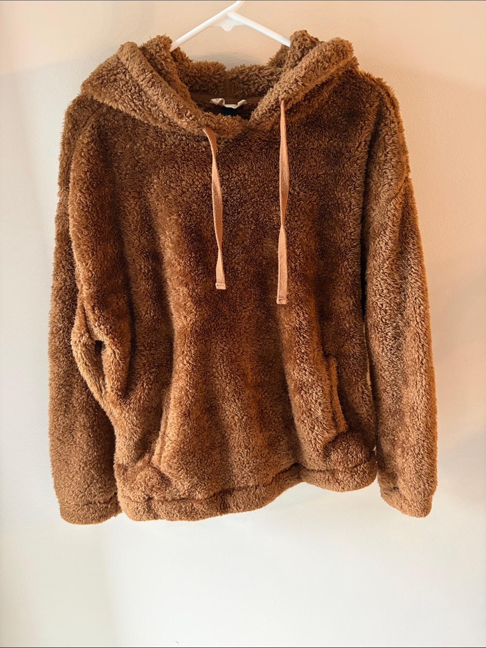 Universal Thread Plush Hooded Sweater in Brown
